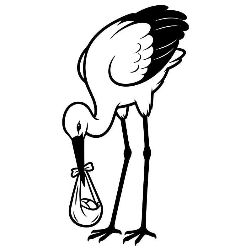 Bébé cigogne