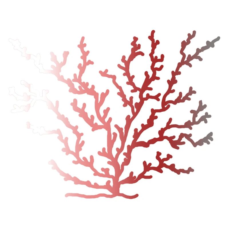 coralfantasy