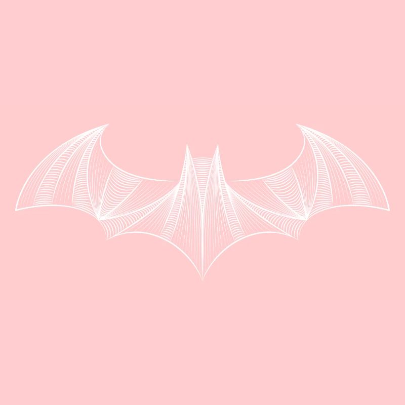 Batman Logo 'Drawing' Tee shirt Femme