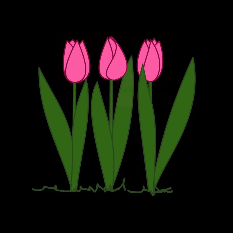 Pink tulips, spring, spring