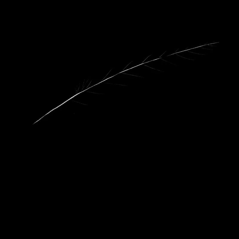 Feather of course