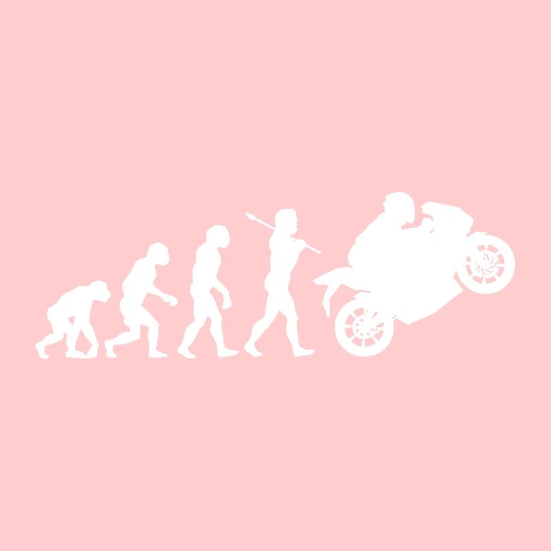 Evolution Motorcyclist