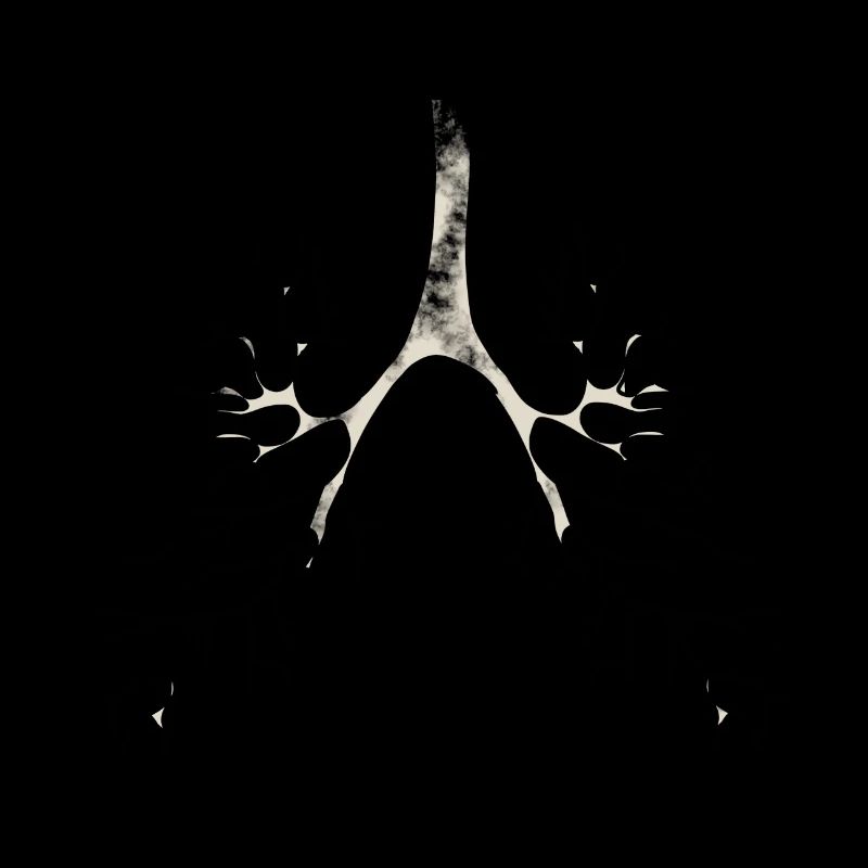 Bronchique Anatomie