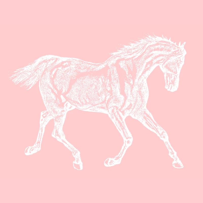 Cheval blanc