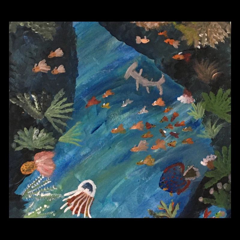 Requin-marteau, Poisson, Mer