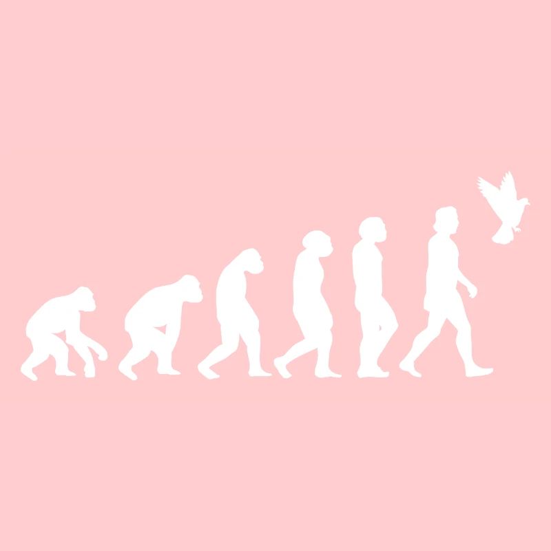 Pigeon Oiseaux Evolution de l’homme Animaux