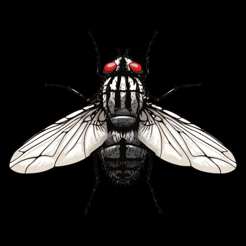Fliege