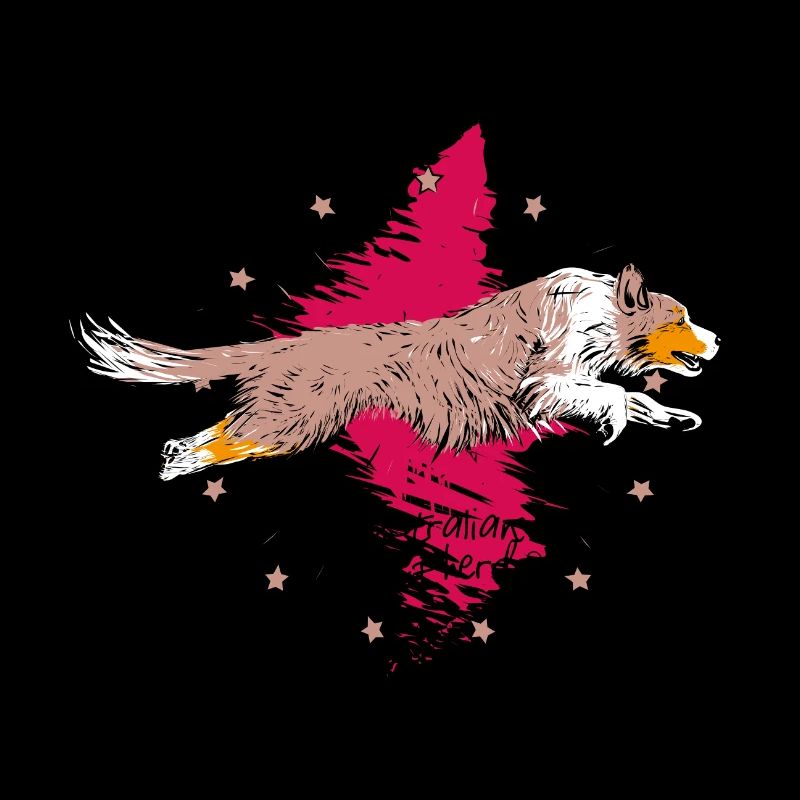 Australian Shepherd, red merle