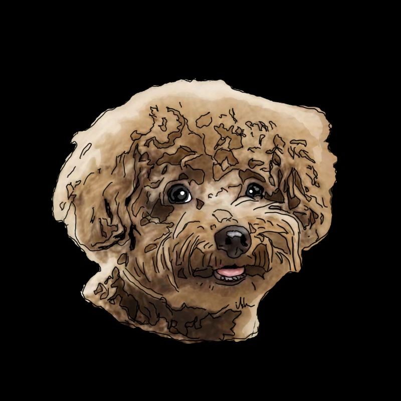 Caniche