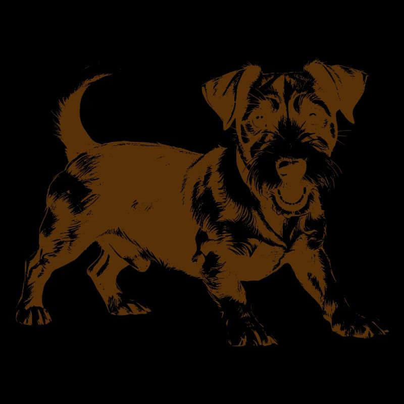Jack Russell terrier chien de race