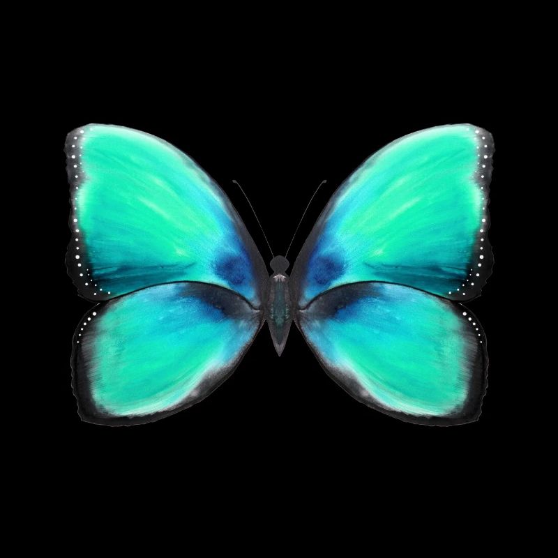 Blaue Freiheit