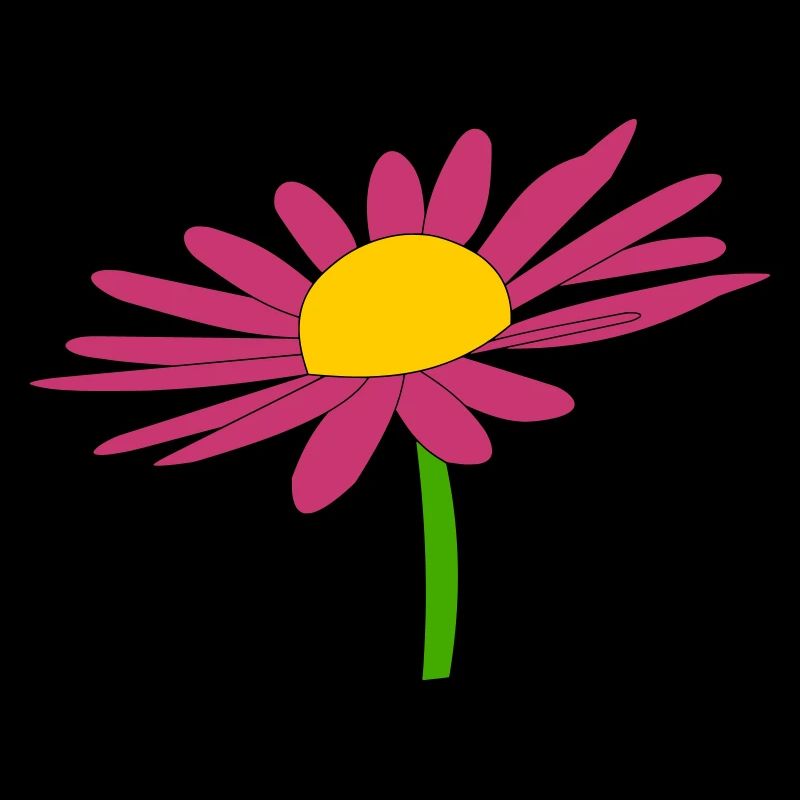 Margariten rose