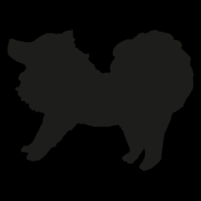 Spitz schwarz