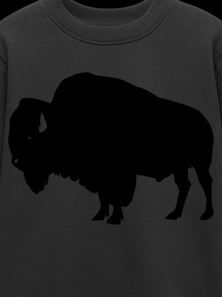 Bison