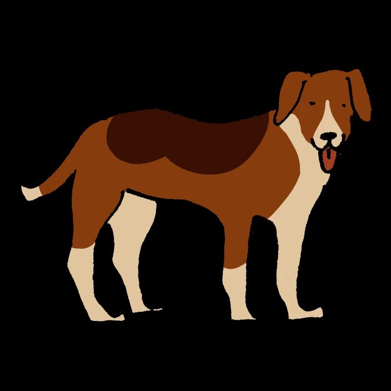 Foxhound américain