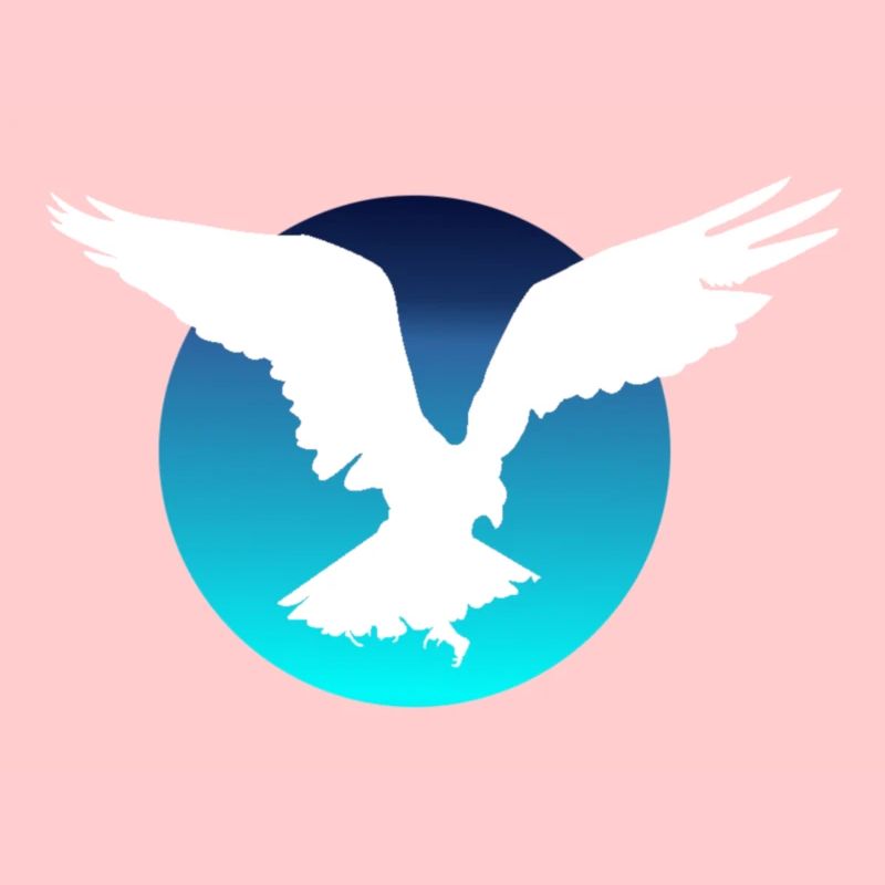 Aigle volant
