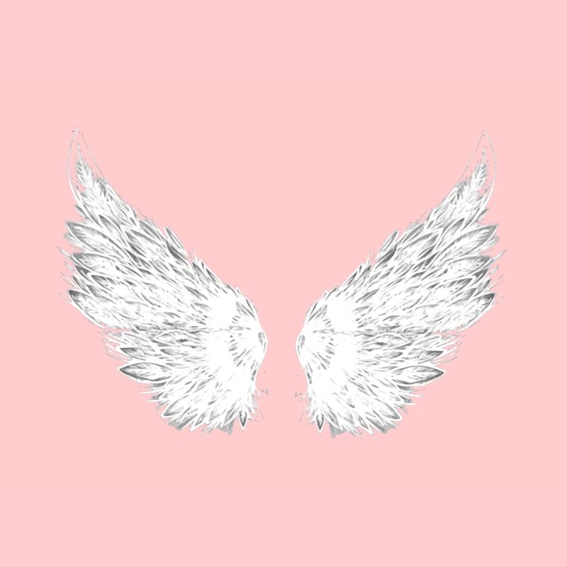 ailes blanches, ailes, ailes d’ange, anges