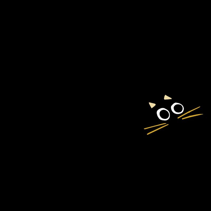 black running cat