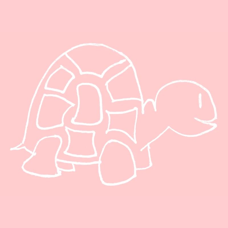 Dessin de tortues (blanc)