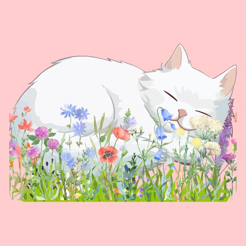 Schlafende Katze