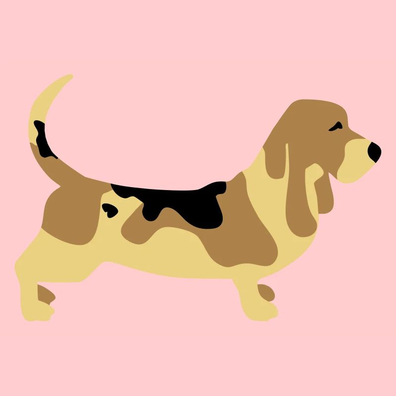Basset Hound