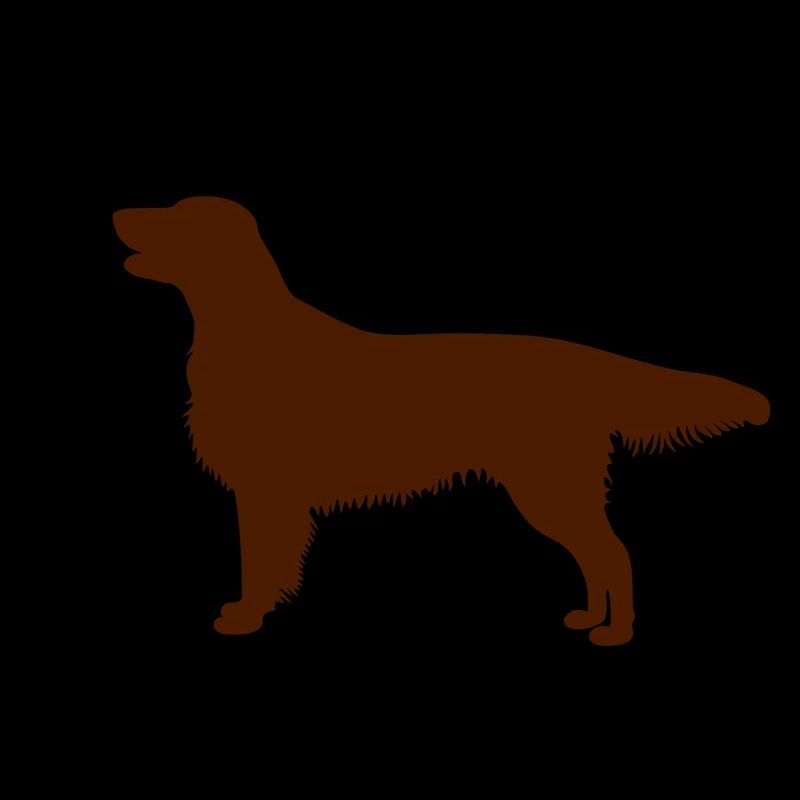 2 Flat Coated Retriever