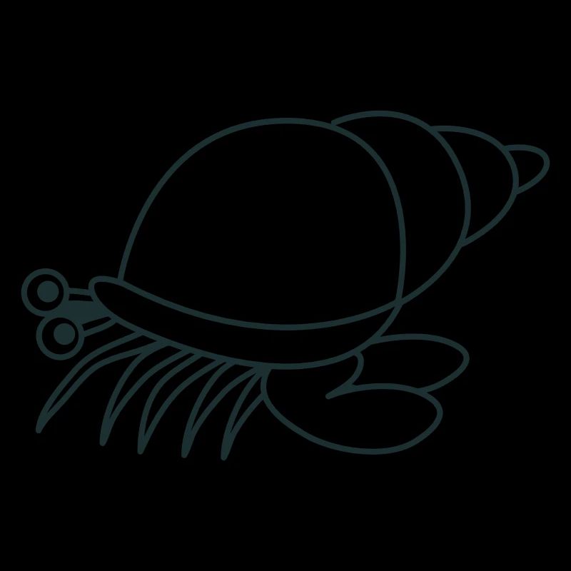 hermit crab