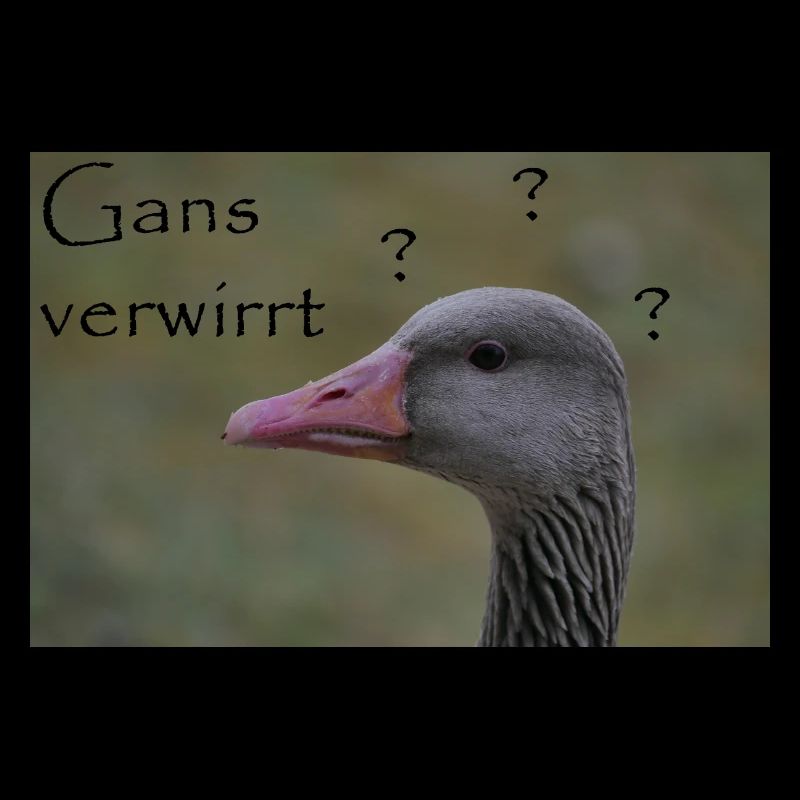 Gans verwirrt - witziger Spruch