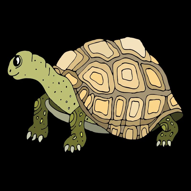 Tortue