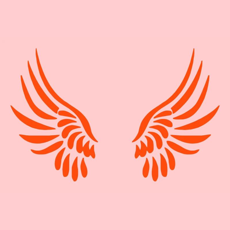 ailes d'ange