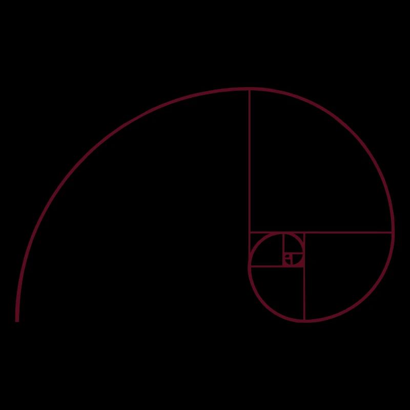 Spirale de Fibonacci, section doré, Phi, evolution