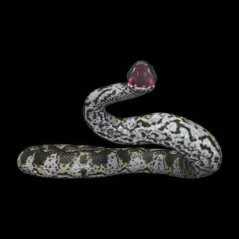 Serpent idole, boa constrictor, serpent