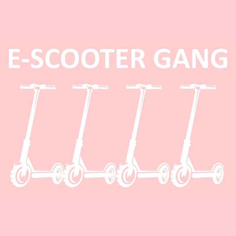 E-Scooter E-Roller Scooter
