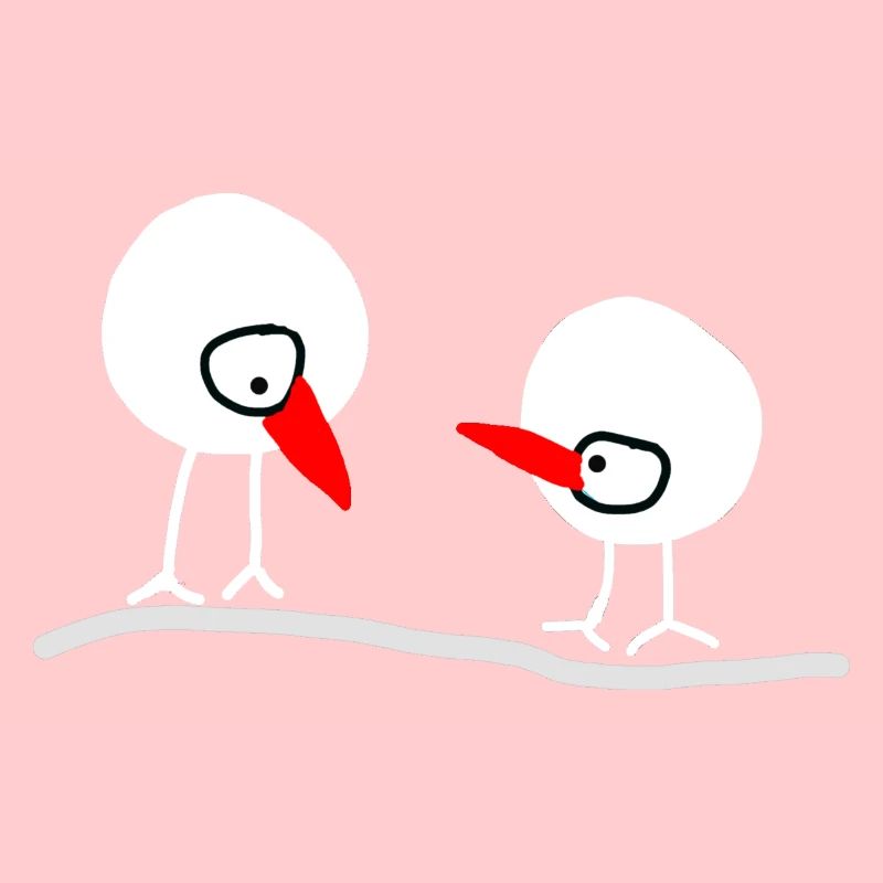 Vögel 11