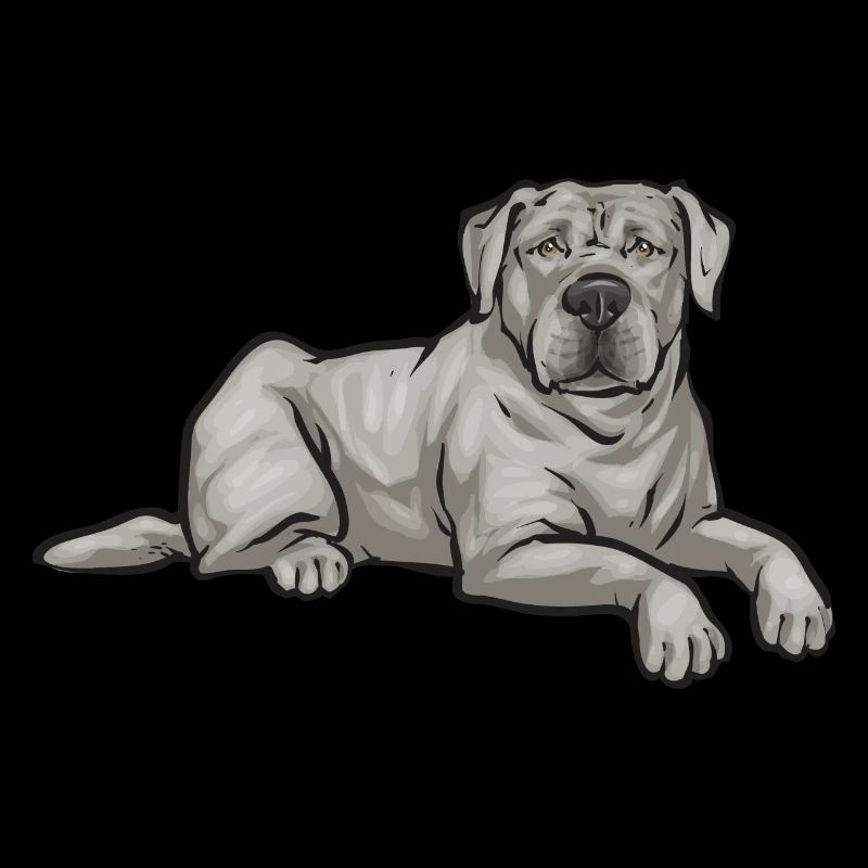 Silver Labrador Retriever Silver Lab