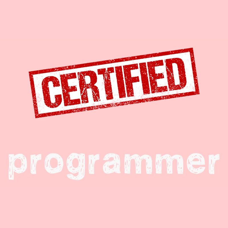 Programmer