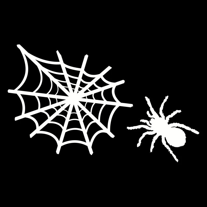 spinne spinnennetz