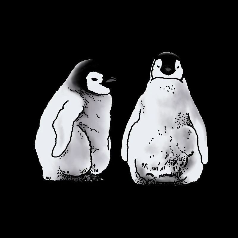 Penguin Babies