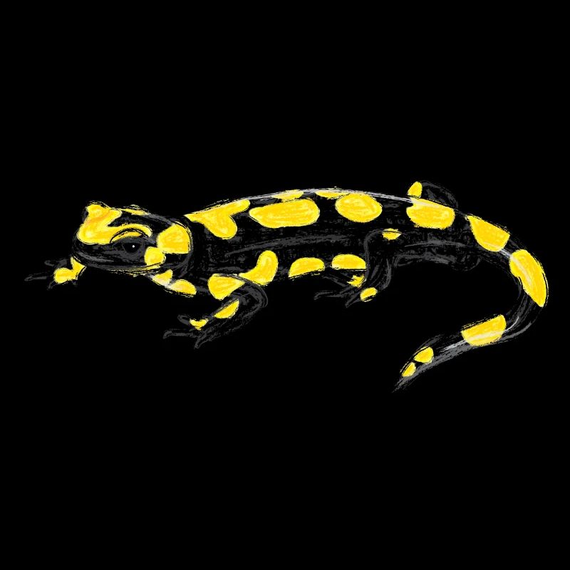 Feuersalamander / Fire Salamander I
