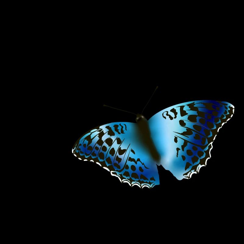 papillon bleu