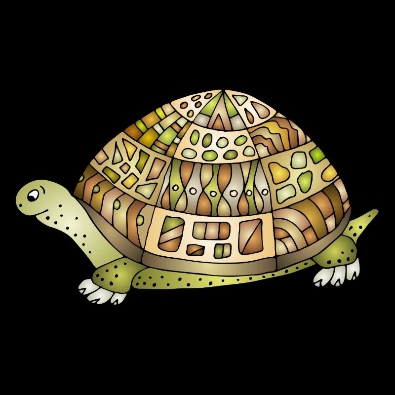 Tortoise