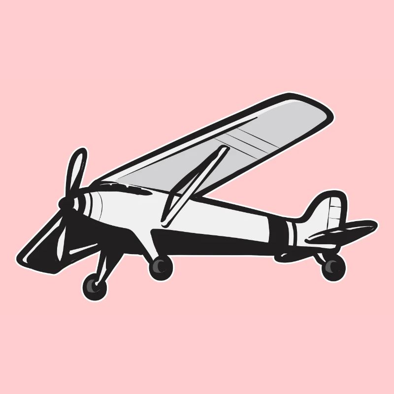 Modèle d’avion télécommandé