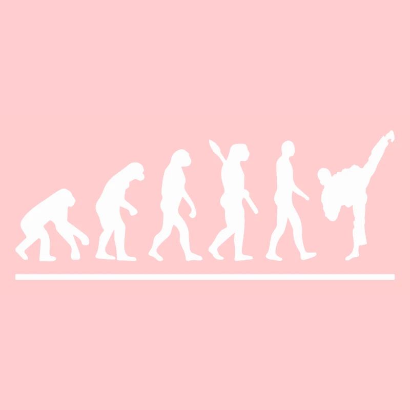 Évolution karaté