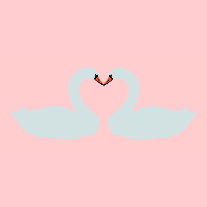Swans Heart