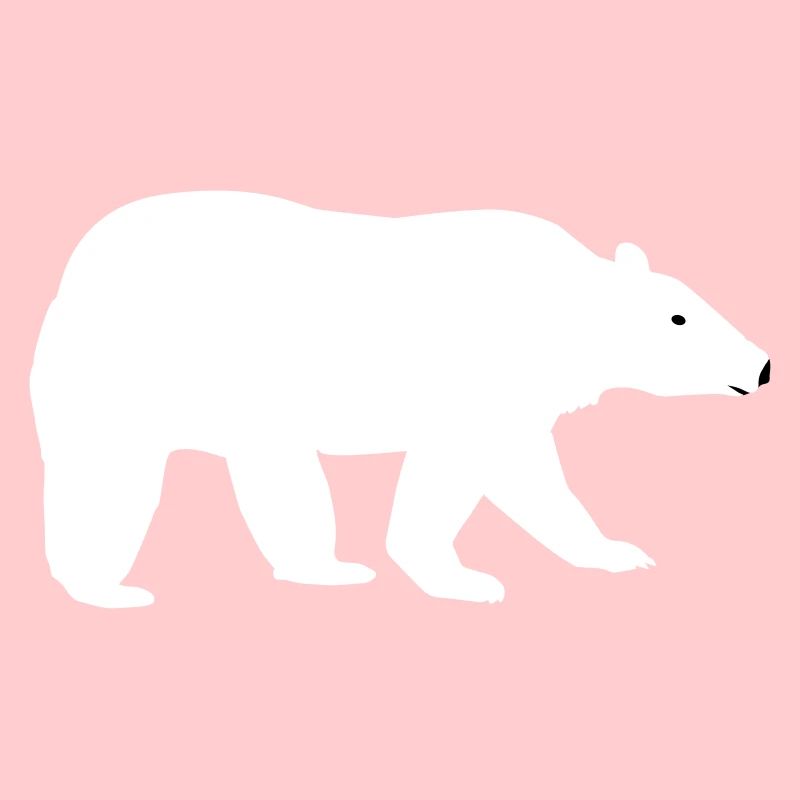 Ours polaire