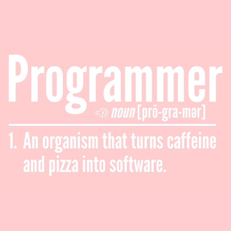 Programmeur