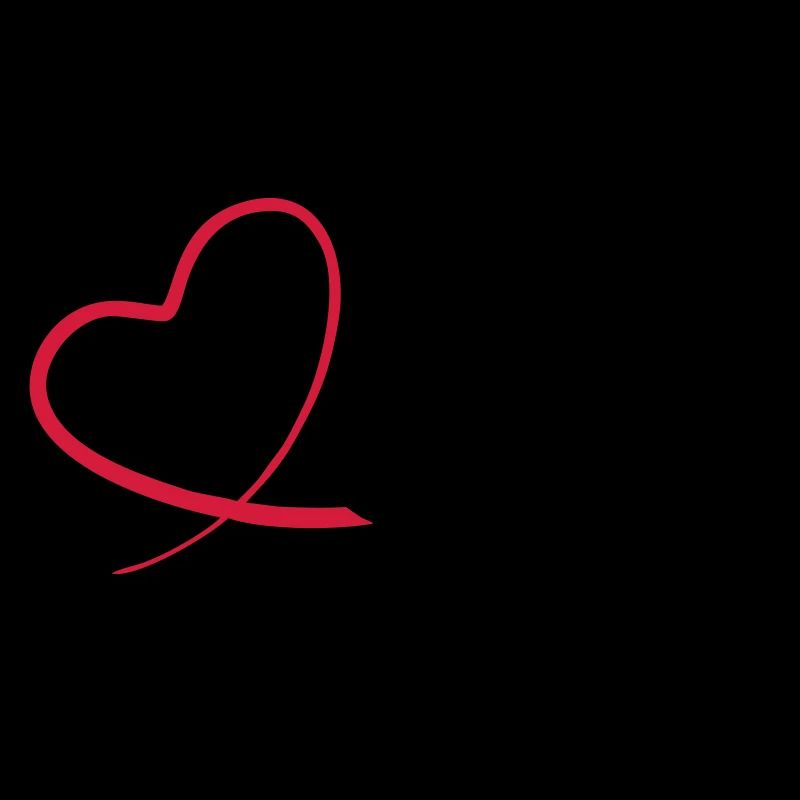 Kunstflug aerobatic Fox Geschenk