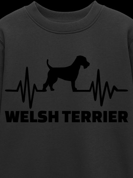 Welsh Terrier