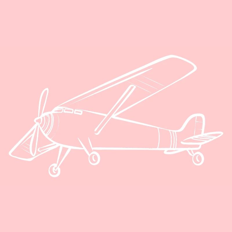 Remote Controlled Airplane Model Airplane