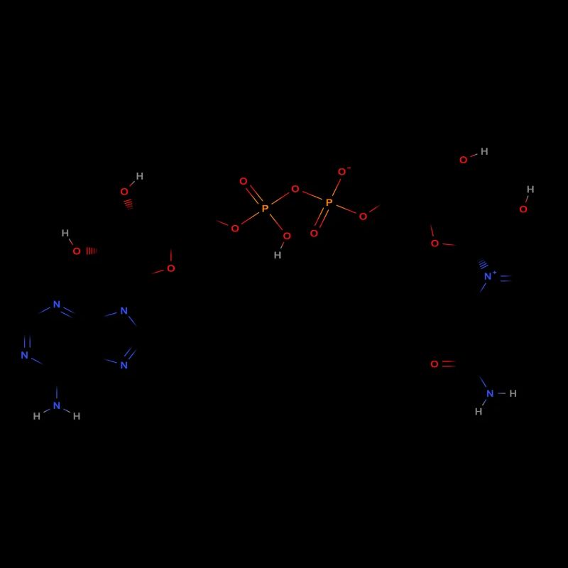 Nicotinamide adenine dinucleotide Molecule - Couleur